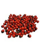 Satvik Red Gunja Beads, Laal Rakht Gunja Seeds, for Puja, 10g