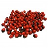 Satvik Red Gunja Beads, Laal Rakht Gunja Seeds, Red Rosary Pea for Lakshmi Saraswati and Kali Puja, 10g