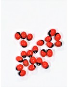 Satvik Red Gunja Beads, Laal Rakht Gunja Seeds, for Puja, 10g