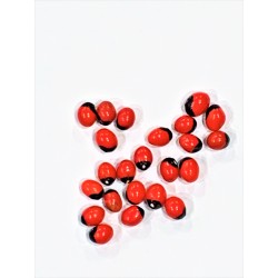 Satvik Red Gunja Beads, Laal Rakht Gunja Seeds, Red Rosary Pea for Lakshmi Saraswati and Kali Puja, 10g