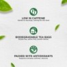 Jivraj9 Mint Green Tea 25 Biodegradable Tea Bags Refreshing Mint