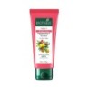 Biotique Fruit Brightening Depigmentation and Tan Removal Face Pack