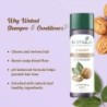 Biotique Walnut Volume and Bounce Shampoo and Conditioner for Fine
