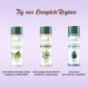 Biotique Walnut Volume and Bounce Shampoo and Conditioner for Fine