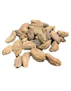 OrgoNutri Black Cardamom, Badi Elaichi, Kali Moti Elaichi, Whole,100gm