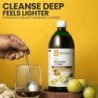 Krishna's Herbal & Ayurveda Fat Reducer Juice - (Pack