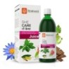 Krishna's Herbal & Ayurveda She Care Juice, Herbal Supplement